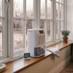 Small white dehumidifier on a wooden windowsill next to foggy windows with condensation.
