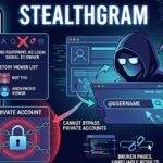 Stealthgram anonymous Instagram viewer interface showing story viewing, content downloads, private account restrictions, and browser-based privacy features.